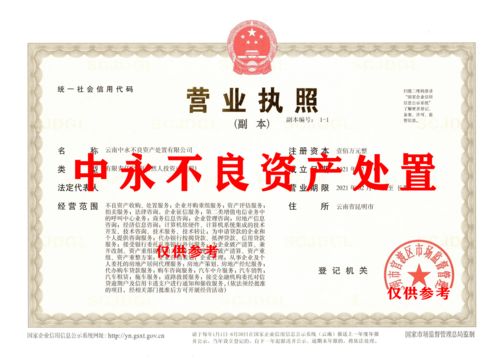 不良資產(chǎn)處置公司可以經(jīng)營哪些項目